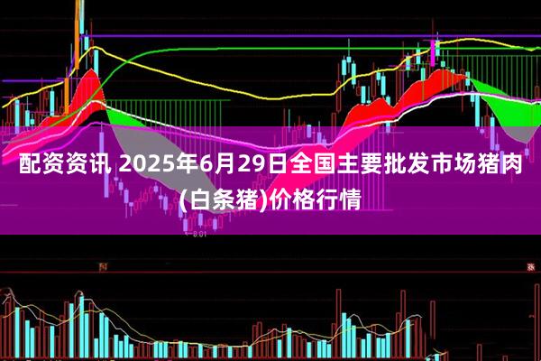 配资资讯 2025年6月29日全国主要批发市场猪肉(白条猪)价格行情