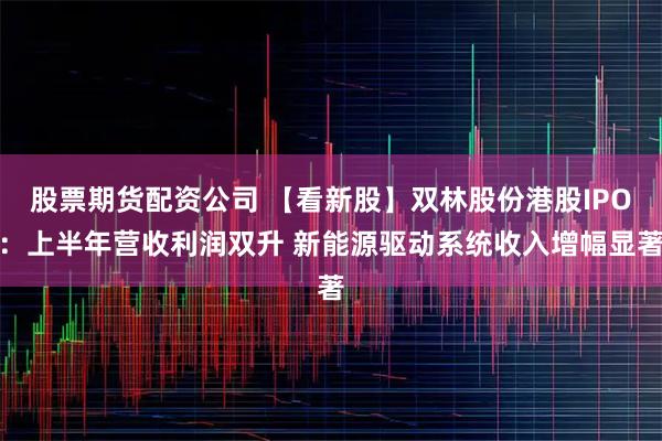 股票期货配资公司 【看新股】双林股份港股IPO：上半年营收利润双升 新能源驱动系统收入增幅显著
